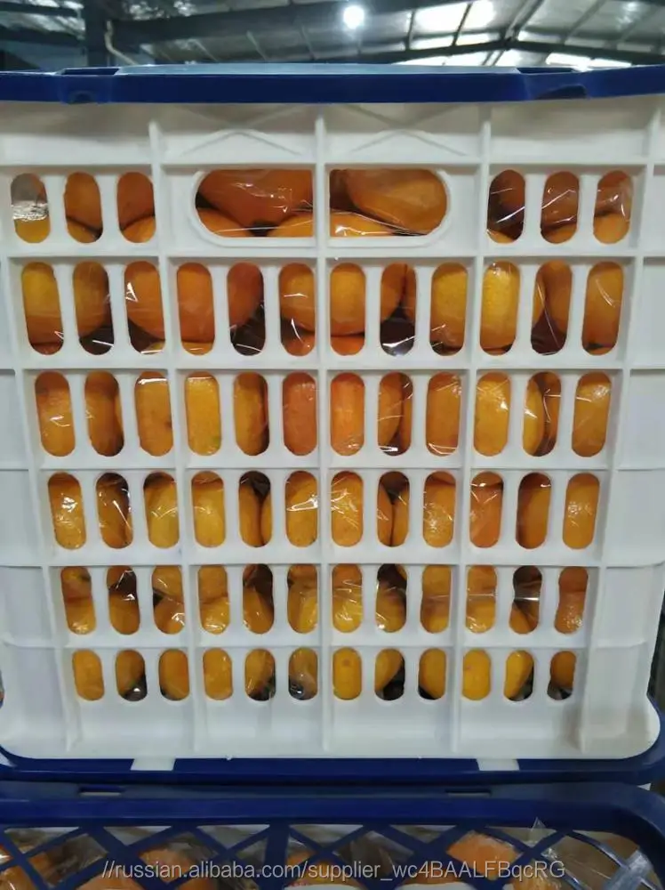 fresh mandarins oranges