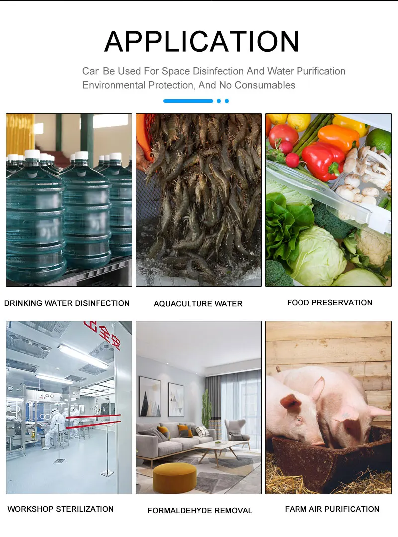 Flygoo Longevity 2g/hr Ozone Generator Washing Machine Water Treatment Laundry for Washing Clothes