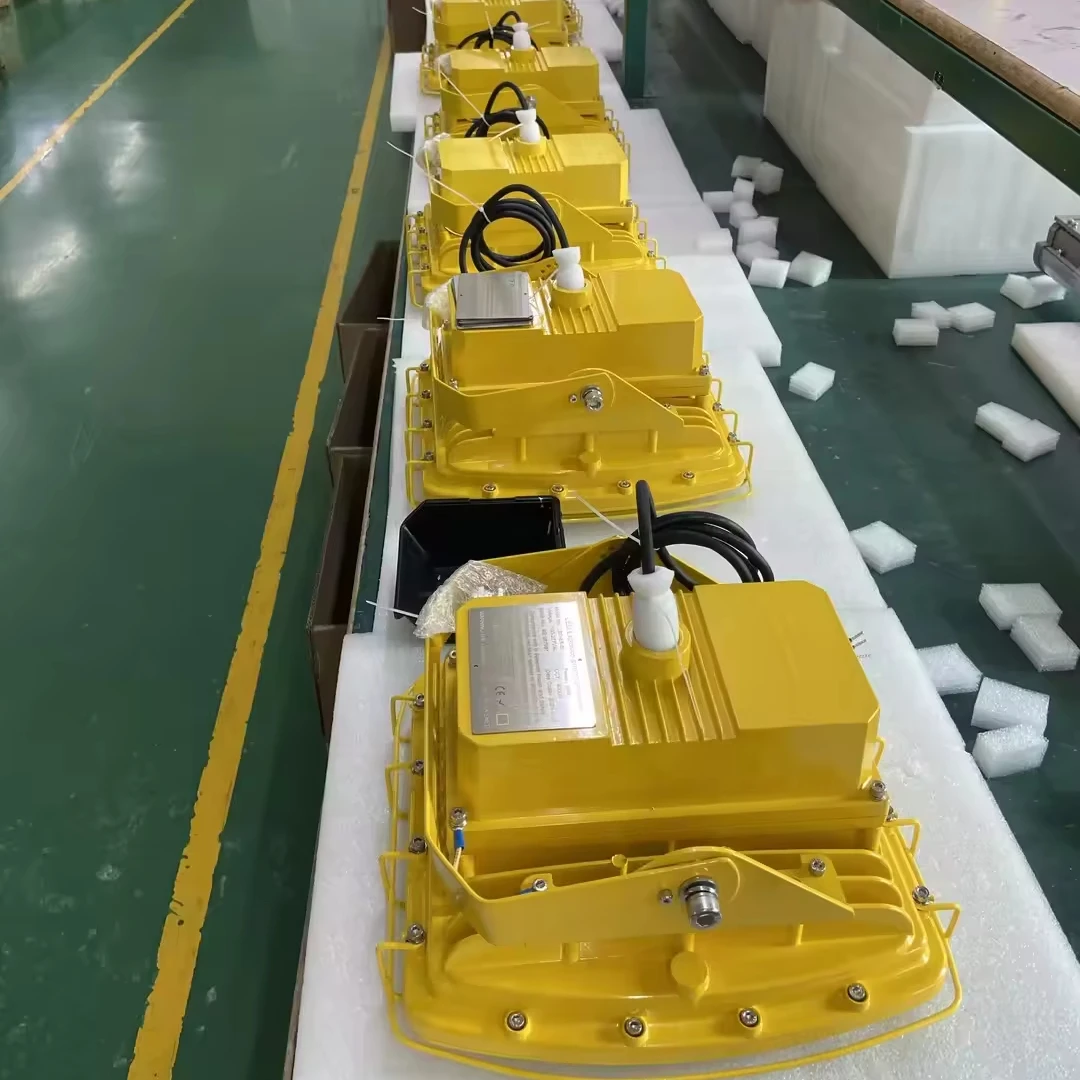 Explosion proof Led Light Gas Station 20W~200W Surface Mounted Recessed LED Class I Division 2 Atex Led Flood Light