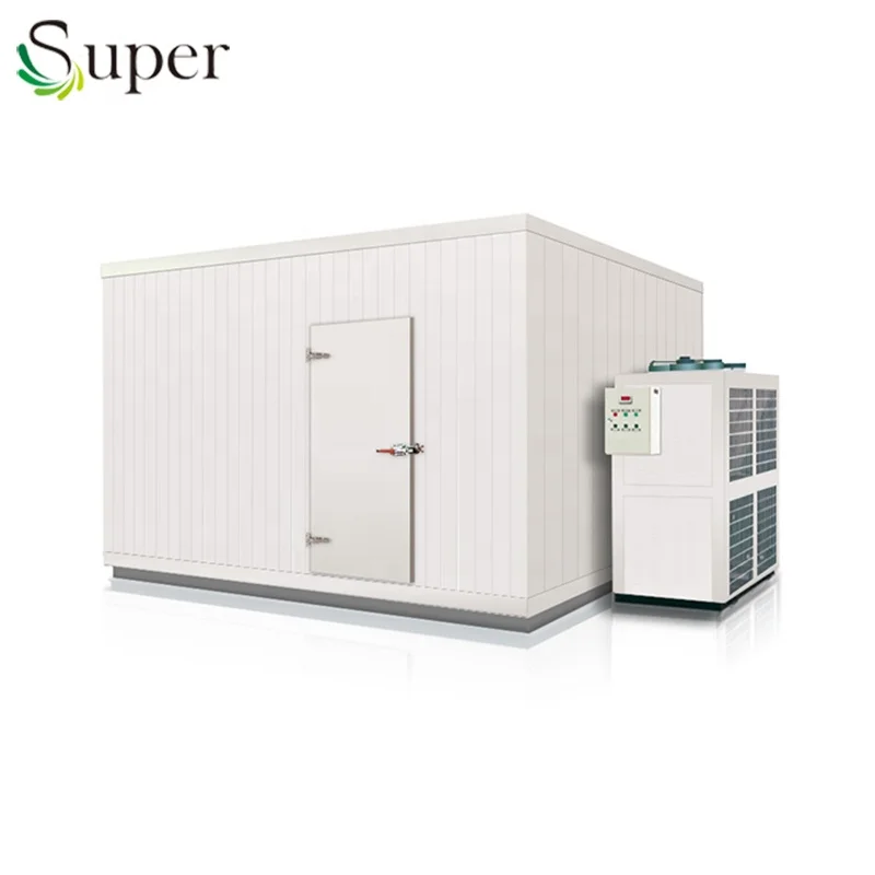 
100 ton potatao cold room storage for hot weather with wall insulation coating liquid 