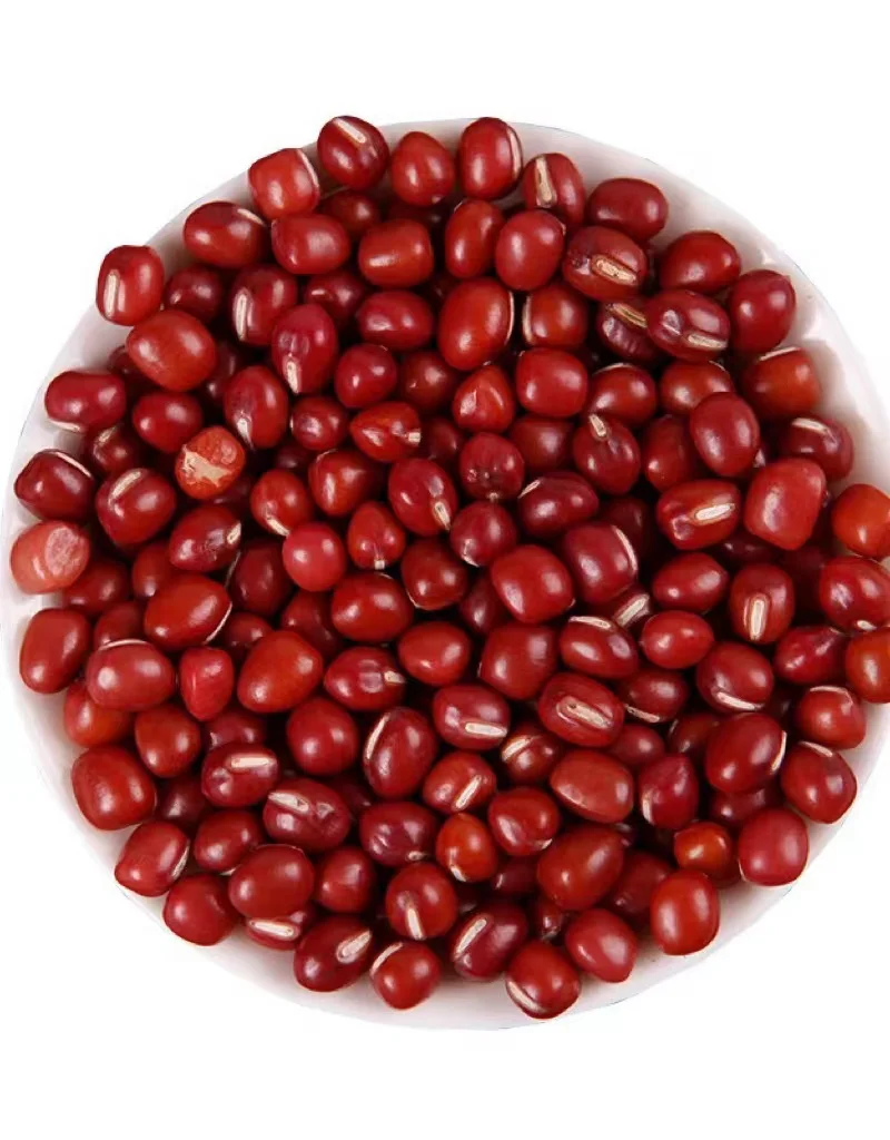 Sweet red beans with fine texture can be used as raw materials for milk tea or bread.