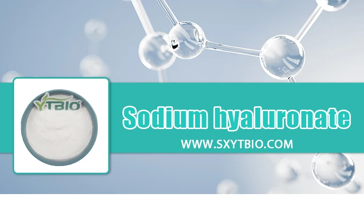 Sodium-hyaluronate_01.jpg
