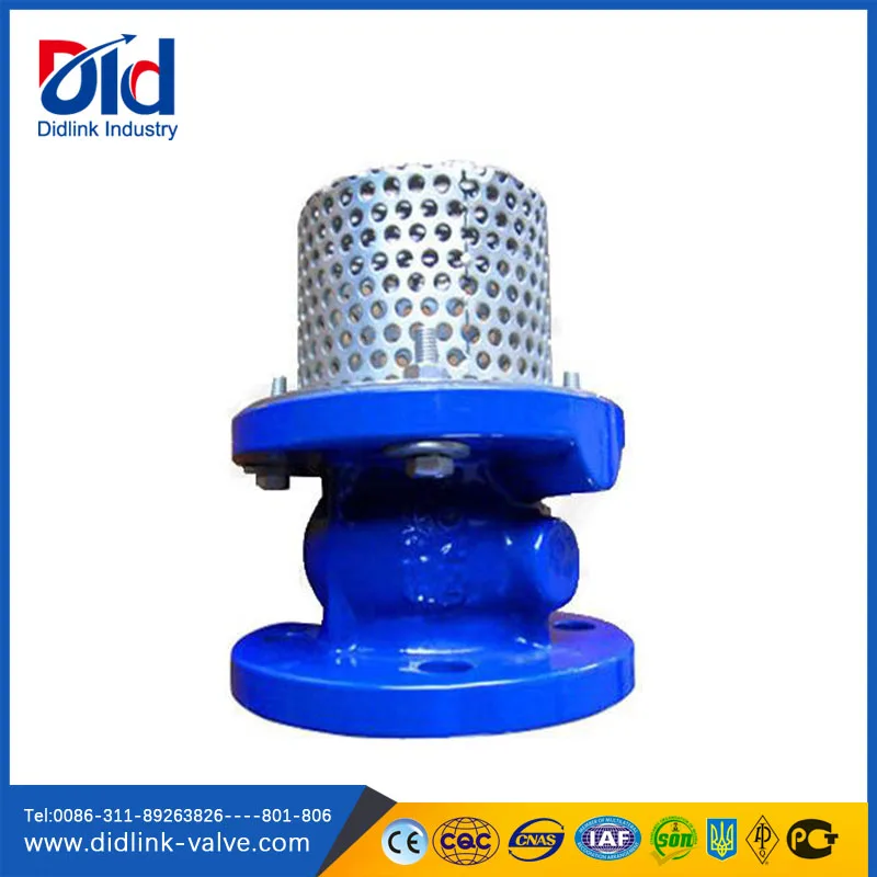 Well Hydraulic Air Bronze Stand Replacement Spring Din Ductile Iron Jet Pump Foot Valve Strainer