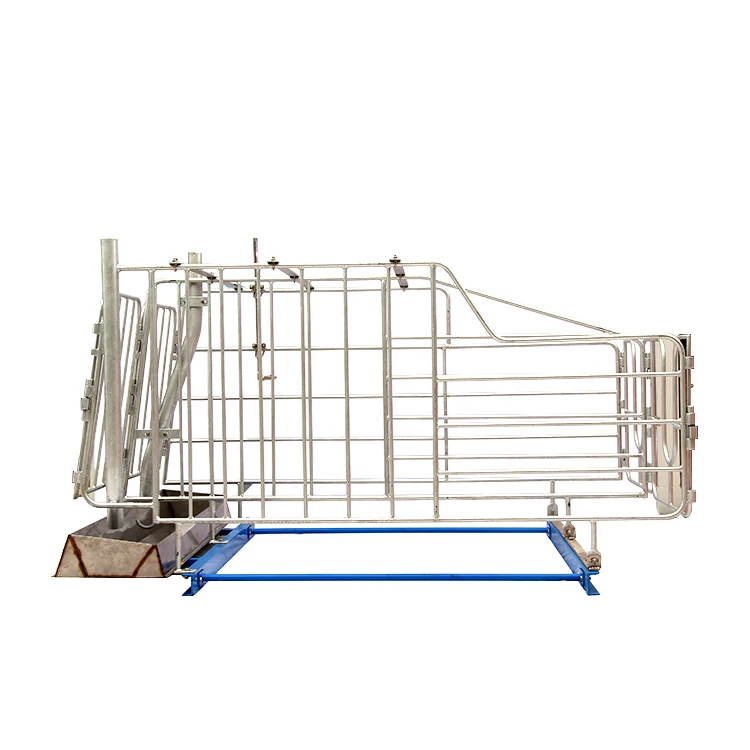 Manufacturer Supply Cheap Pig Pen Solid Rod Gestation Stall For Sale