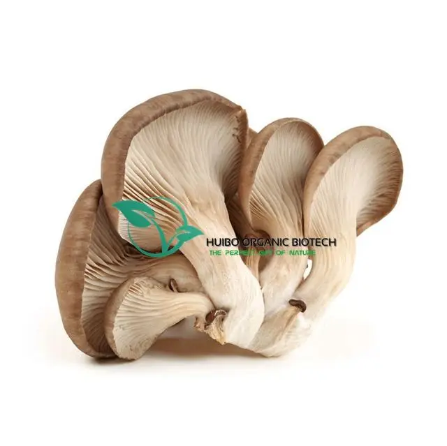 Organic shiitake mushroom /dried  Lentinus edodes whole / slices NOP EU standard