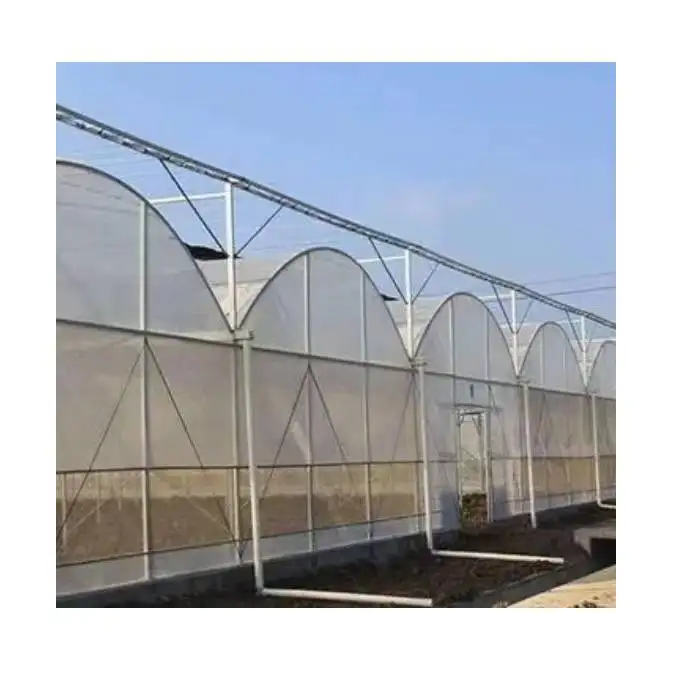 High Quality Commercialized Agricultural Film Greenhouse Intelligent Glass Multi Span Greenhouse