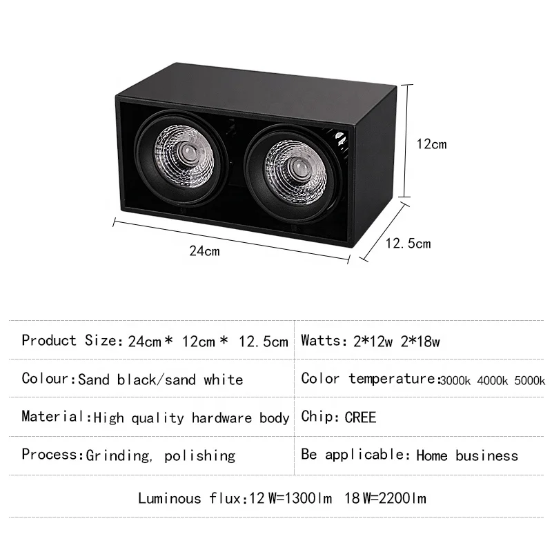 Потолочная лампа Puluoti с двойной головкой и регулируемым углом освещения для магазина одежды