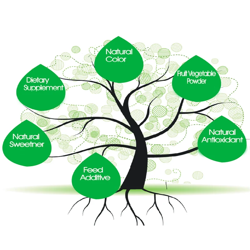 stevia in bulk sweetener powder stevia leaf extract rebaudiana stevia