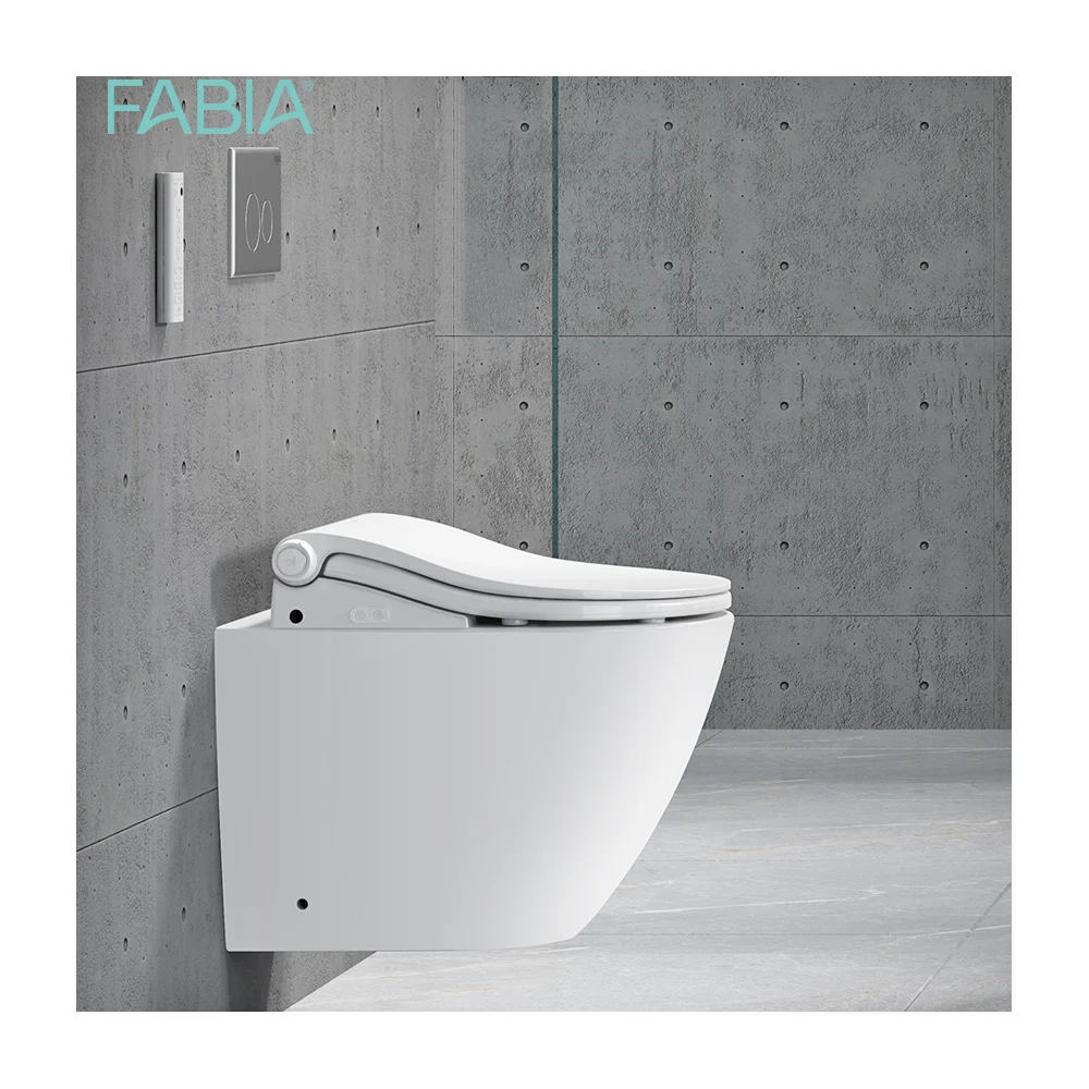 Ce Standard Bathroom Ceramic Smart Toilet Intelligent Bidet Integrated Wall Hang Toilet