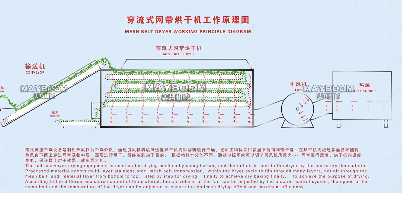 herb mesh belt dryer 