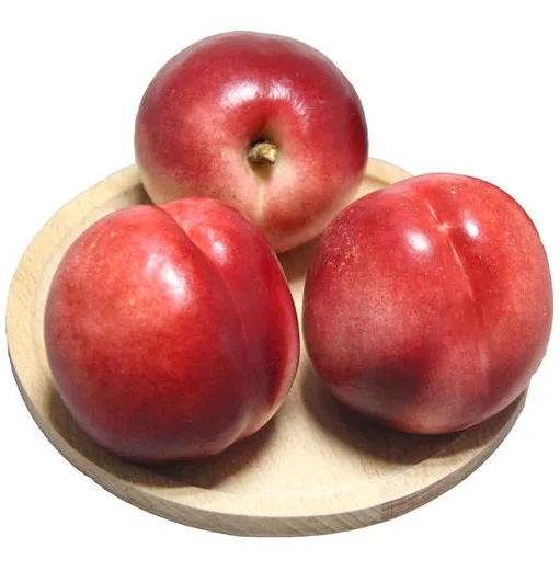 Cost-effective 100% natural fresh stone fruit class A red Australian fresh nectarine