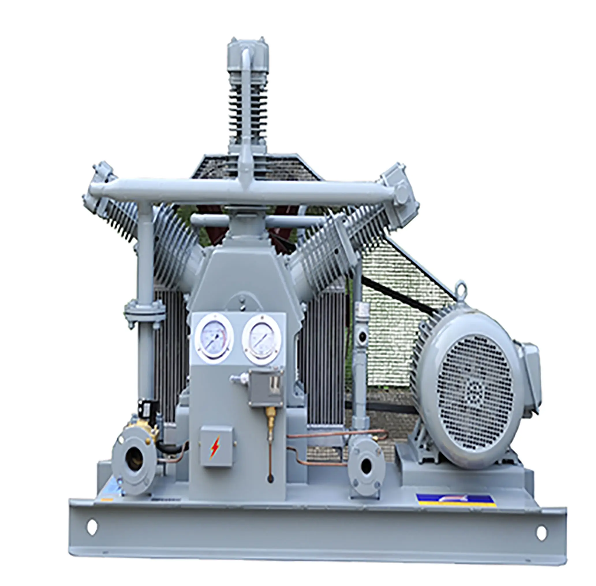 Hot Selling Design Oil Free Biogas Compressor Best Price Methane Mini Cng Compressor (CW-10/0.1-14)