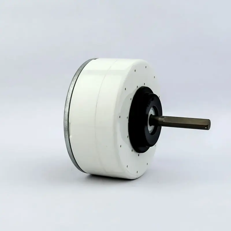 
310V OEM Motor Electric Motor for Household Appliances 