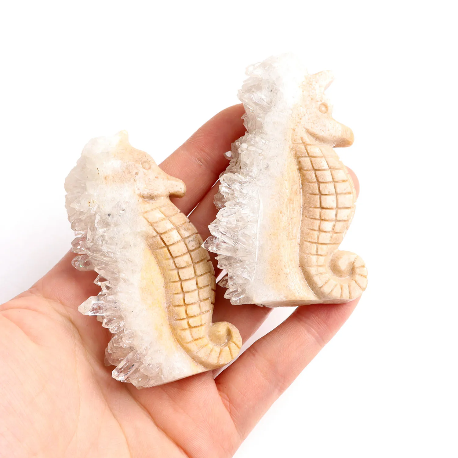 New Product Hand Made Natural Raw Rock Quartz Crystals Hippocampus Shaped Carvings With Cluster For Healing