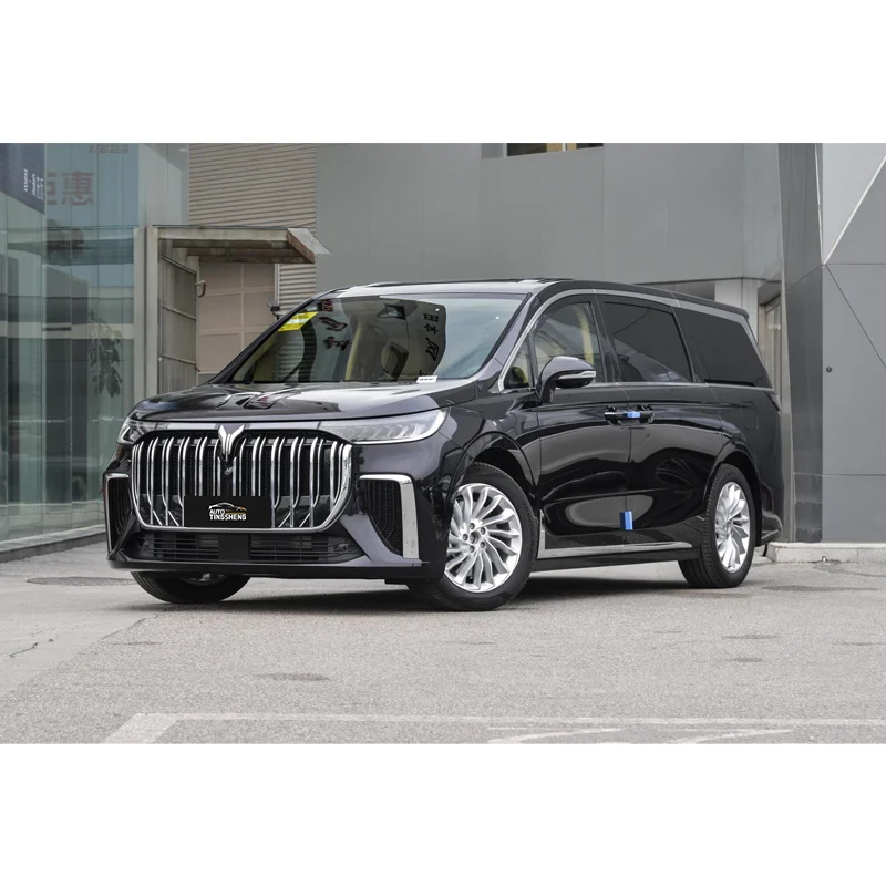 Voyah Lantu Dreamer EV 2024 730 км ультра дальний выпуск Mengxiangjia Белый Новый Dream Mpv электромобиль