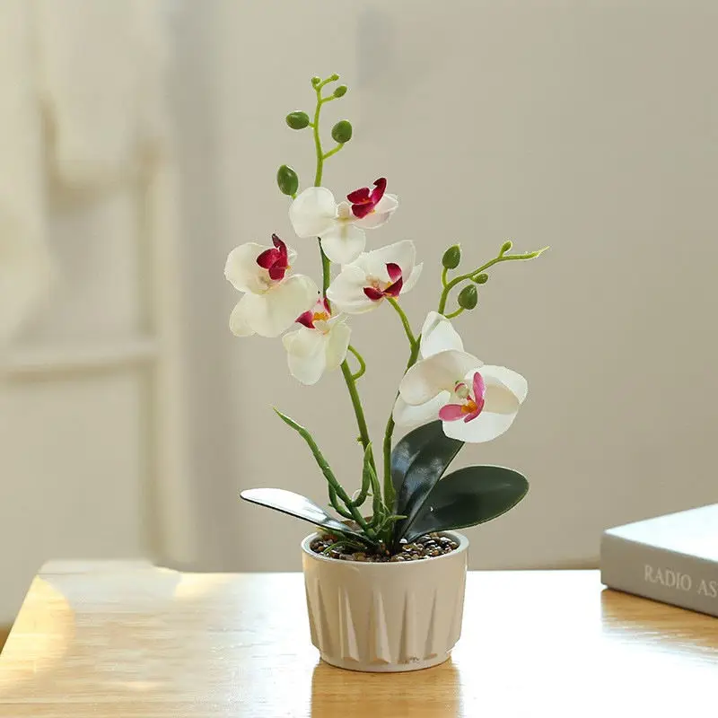 Hot Sales Phalaenopsis Orchids Flower Plants Potted Artificial Butterfly Orchid Bonsai For Interior Decoration