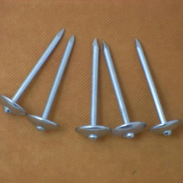 China manufacture roofing nails Cheap price factory directly sale