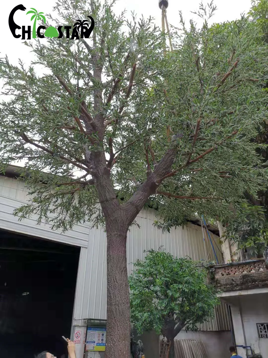 Ствол из стекловолокна под заказ, искусственное растение, ландшафтное украшение, искусственное оливковое дерево