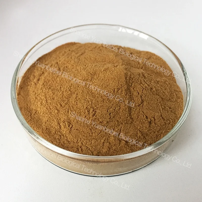 Bulk Price High Quality 1% - 98% Corosolic Acid Banaba Leaf Extract Powder