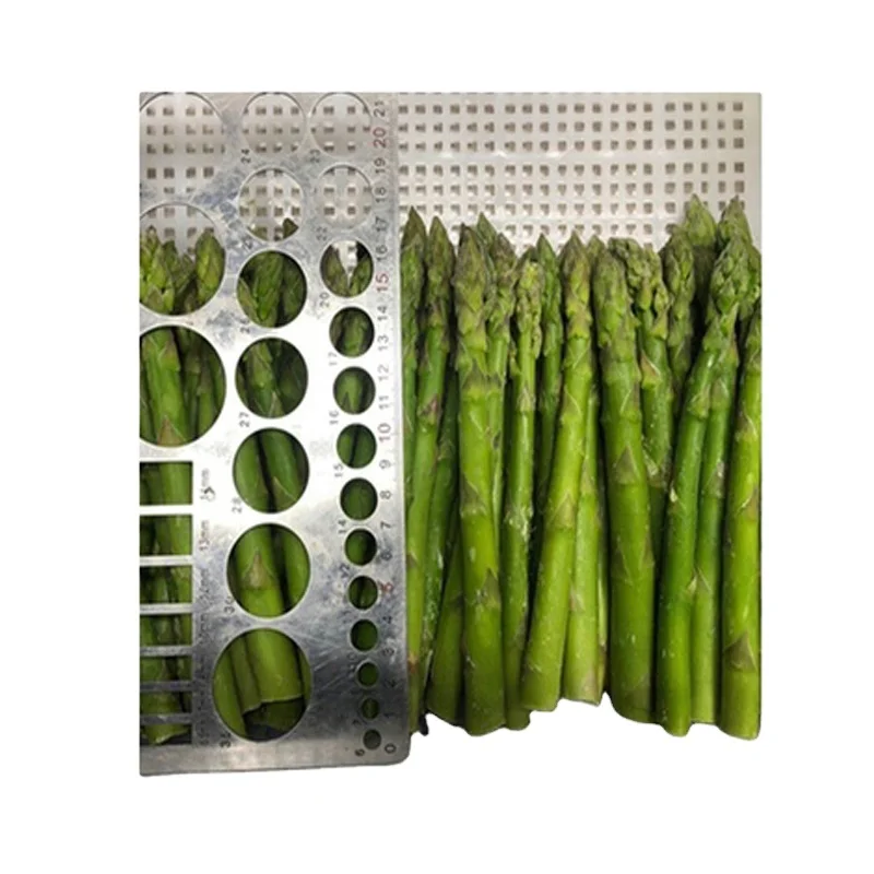 Supplier Hot Selling Fresh Frozen Vegetables Cut Iqf Frozen Green Asparagus