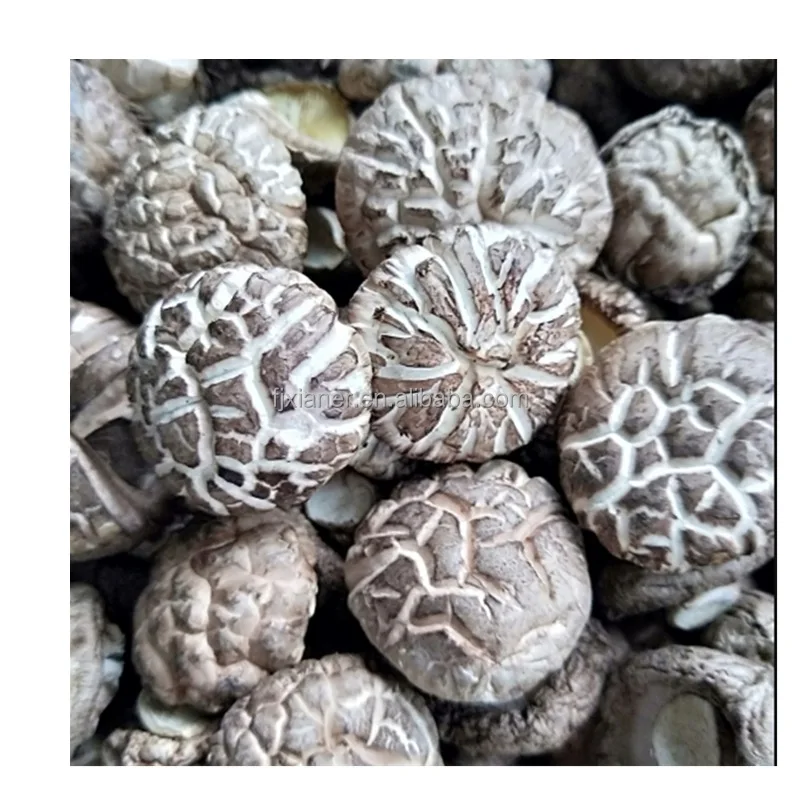 Wholesale Forest Mushroom Organic Dried Shiitake Mushroom Best Dried Shiitake Mushroom
