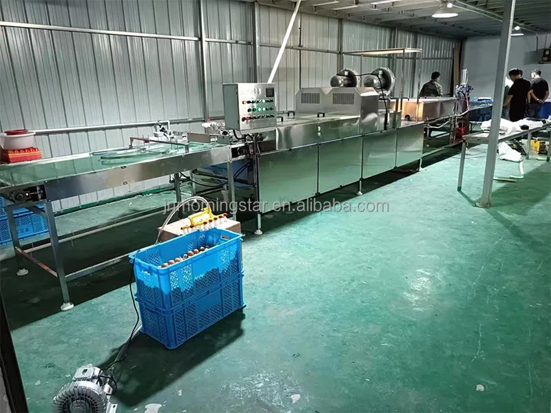 High efficient Duck chicken eggs washing sorting cleaning grading machine egg process line