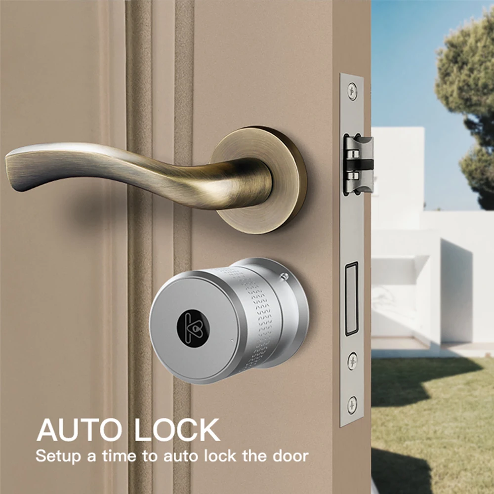 
M521 Big Motor Smart Lock Cylinder Support Multi-point Mortise Lock Auto Smart Door Locks for wooden doors 