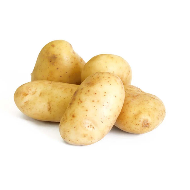 Wholesale healthy and delicious fresh potato from China supplier