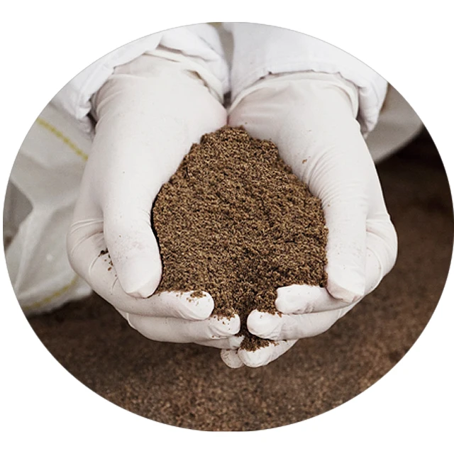 Factory Prices  Brine Shrimp Eggs Export Organic Dried baby Tilapia Fish Food