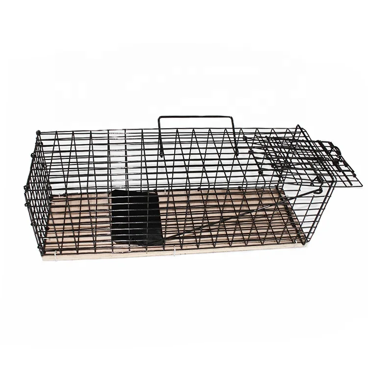 Wholesale Eco-Friendly Square Animal Design Bird Pest Trap Cage for Farm Use-Humane Mouse Wild Boar Python Rats Rabbit Traps