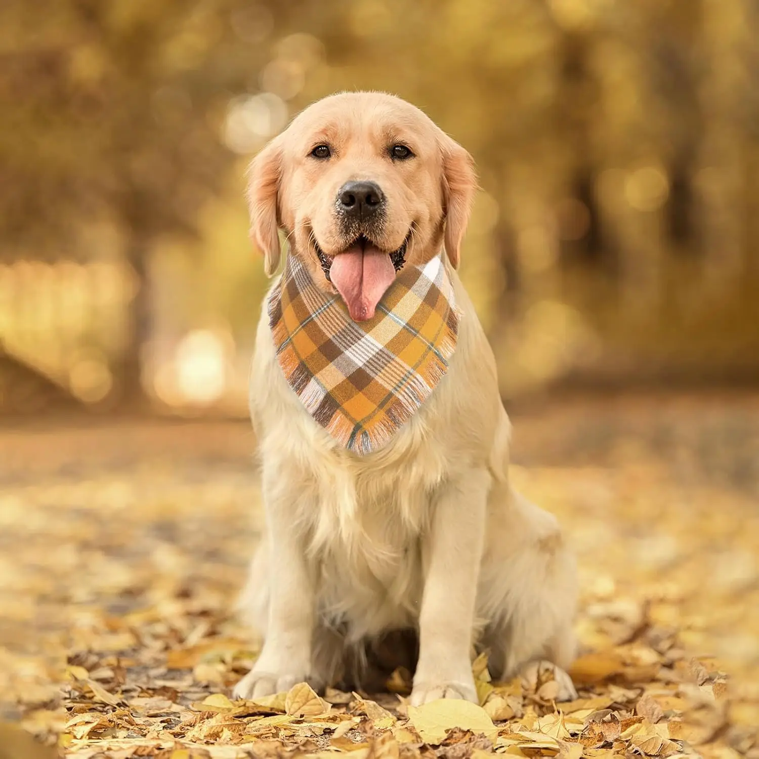 Бандана в клетку для собак