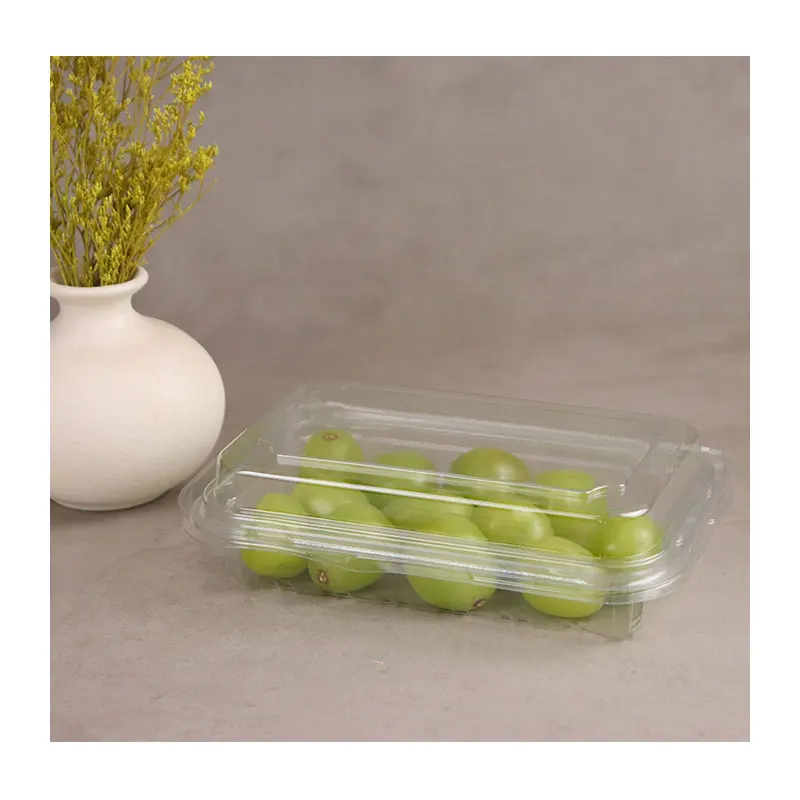 Trays Transparent Clear Pet Plastic Container Plastic Trays Food Packaging Container Box