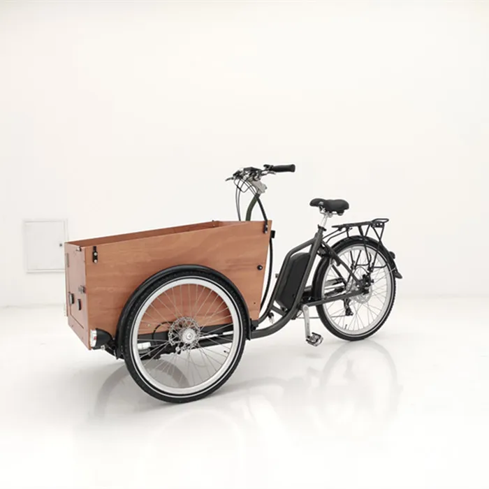 Delivery bike three wheel cargo use front loading electric cargo bike for sale