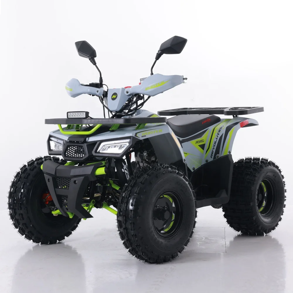 Tao Motor 2024 New ATV 125 Cheap Chinese Automatic Chain Drive Farm ATV 125cc ATV