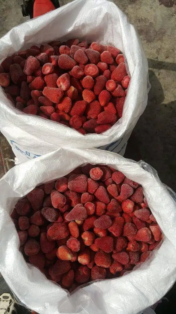 Новый сезон, экспорт замороженной клубники IQF, замороженные красные клубники оптом