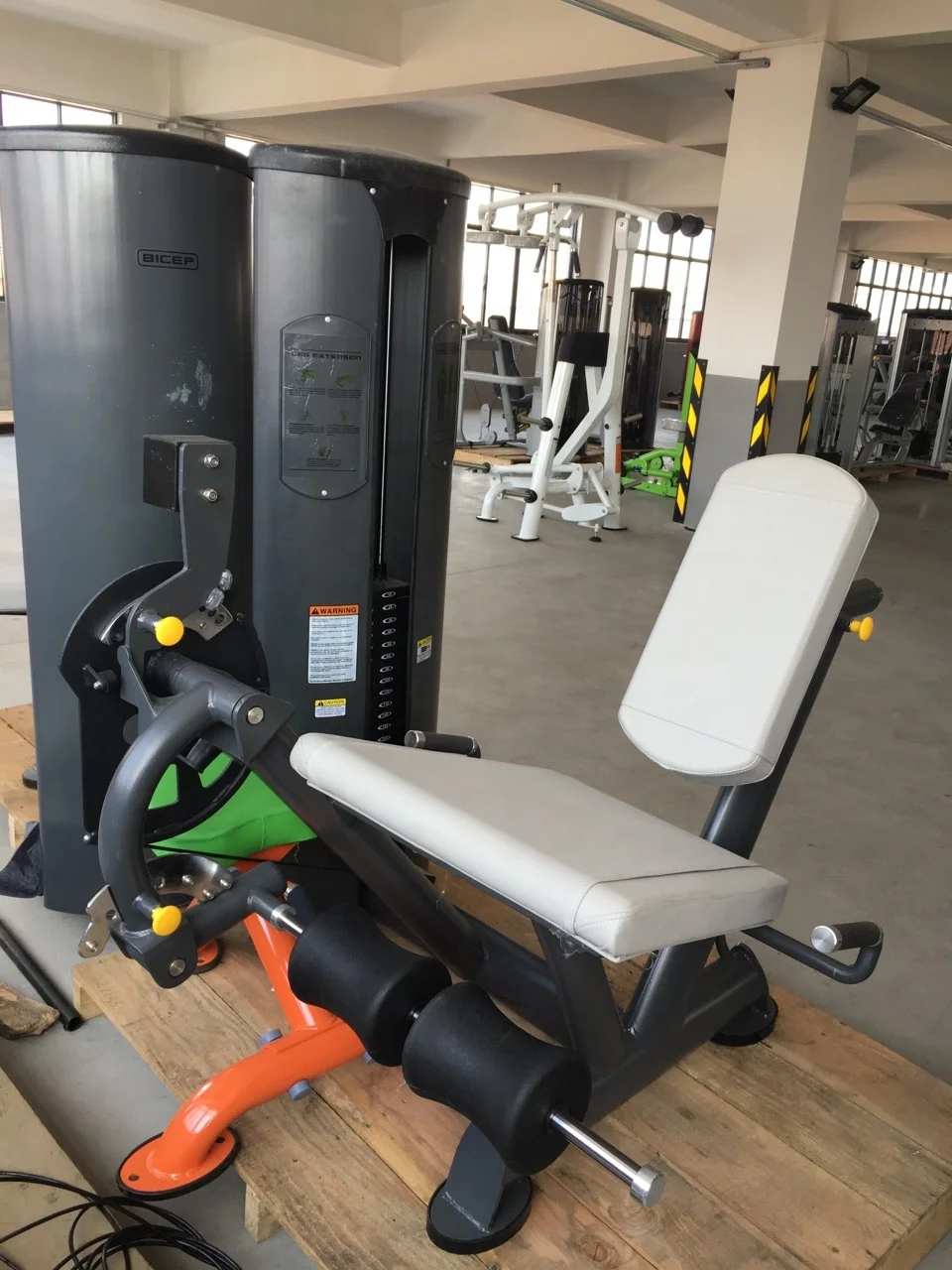 16 Years OEM  Fitness  factory Commercial  use seated Leg Curl  gym equipment  online