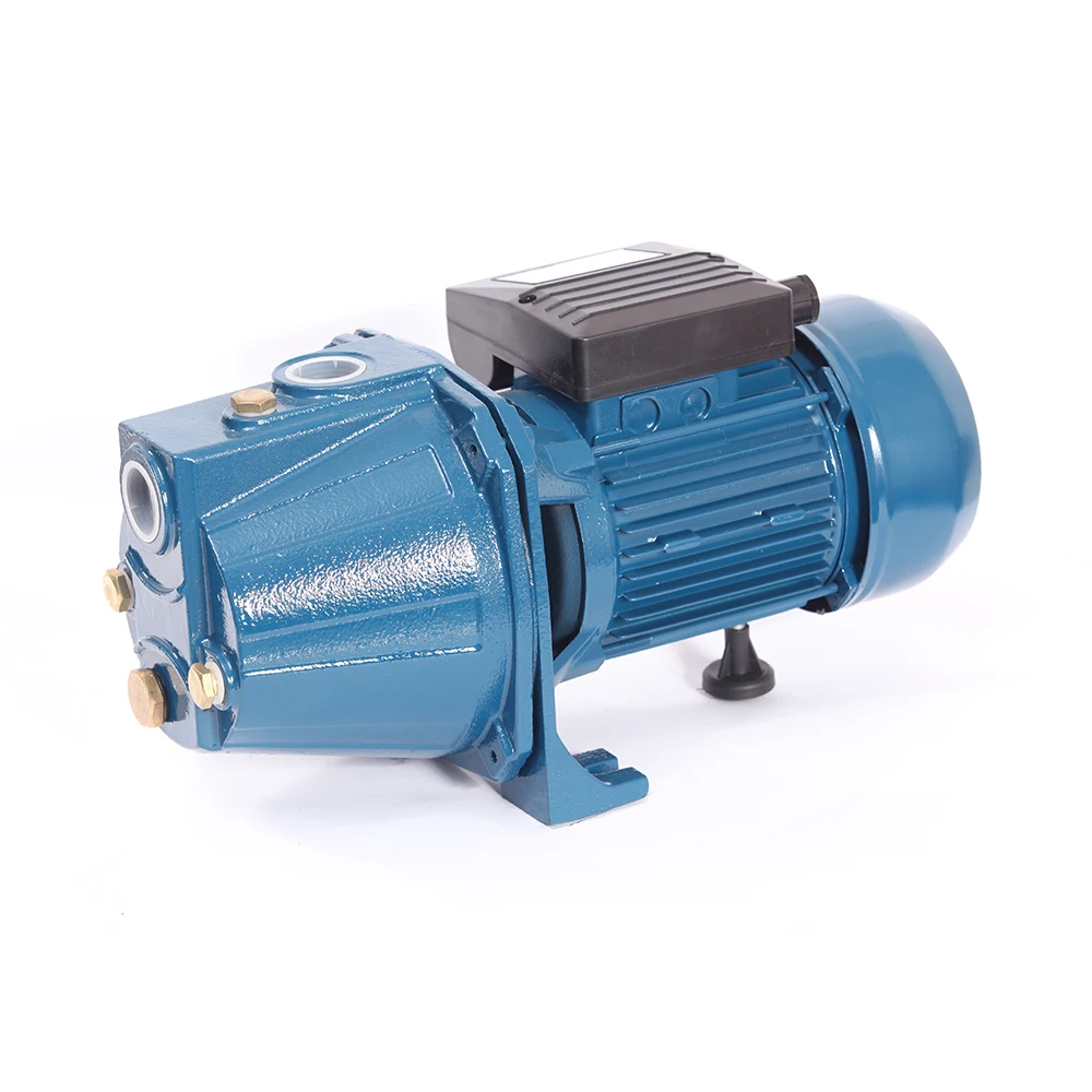 RANNUO Jet 1 Hp поверхностный периферийный насос для чистой воды бытового и орошения