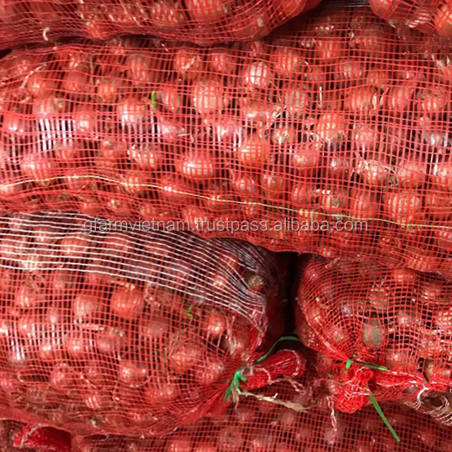 
Fresh red-white onion for sale from Vietnam 