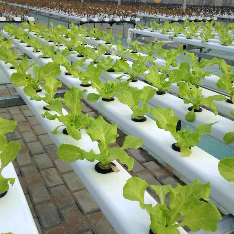 
Hydroponics Nft System with PVC Pipe growing Kits Indoor and Garden Hydroponic Plant Vegetable Farming Sets 