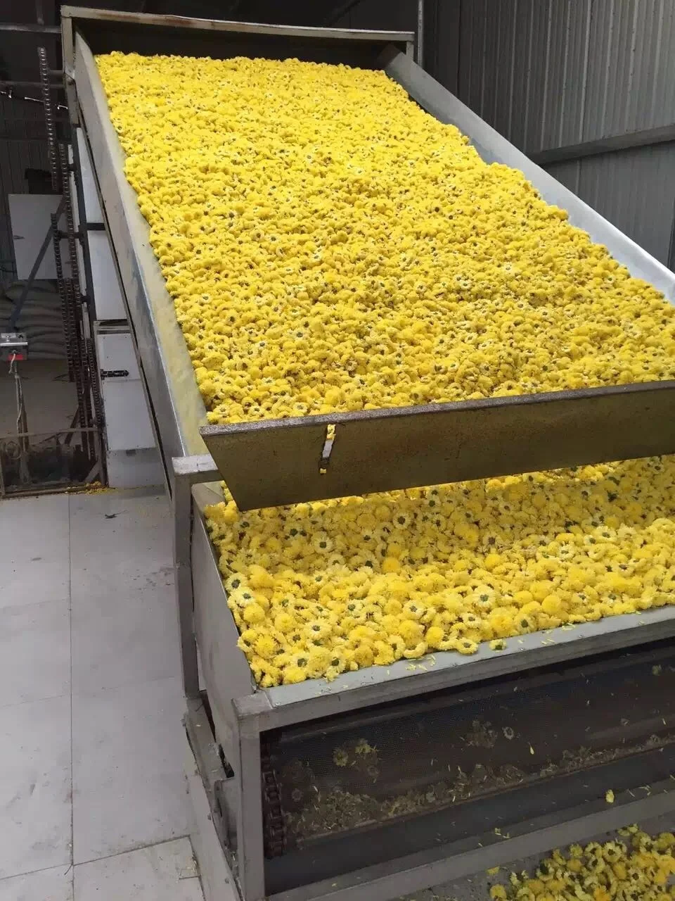 
Myrcia dryer used for bay leaves drying bay leaf seeds drying 