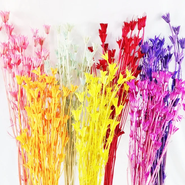 Summer Flora most popular florist supplies interior decorative flowers natural dried flowers Anise flower