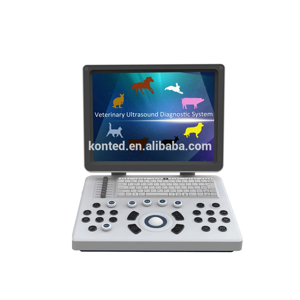 Equine/Cattle/Cow/Horse/Goat//Sheep/Pig/Dog/Cat Portable Veterinary Ultrasound Equipment/Machine/Scanner