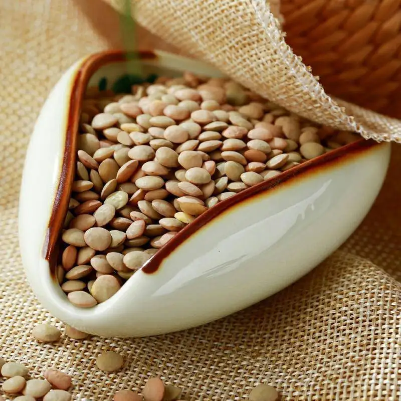 Premium Quality Chinese Green Lentils Organic Dried Lentils Seeds