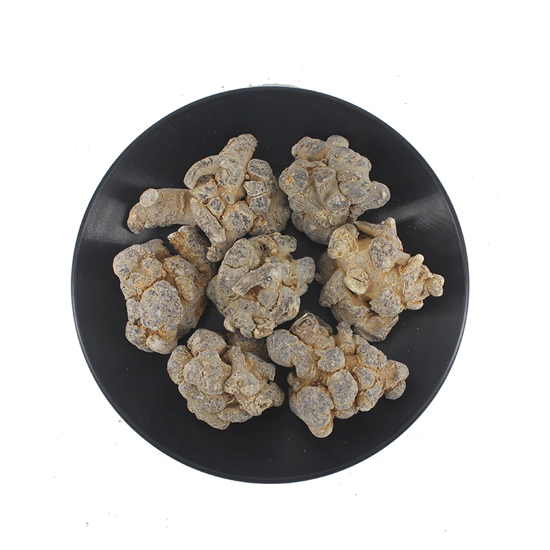 Panax notoginseng/ Notoginseng radix et rhizoma/ Sanqi