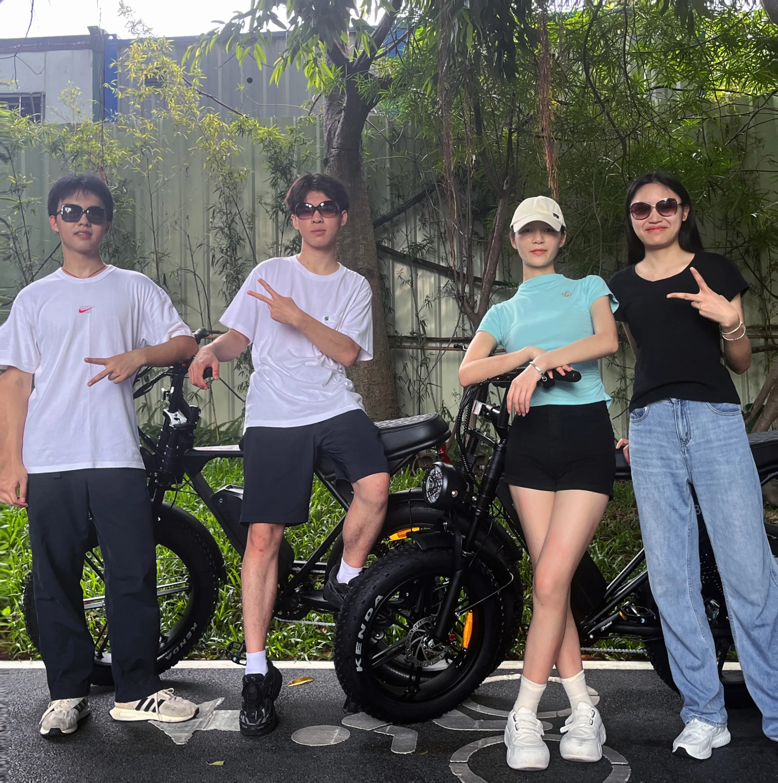 Factory Wholesale 750W 1000W 20*4 inch V8 Pro Plus Electric Bike Electric Mountain Bike With Lithium Battery Oil Brake for Adult