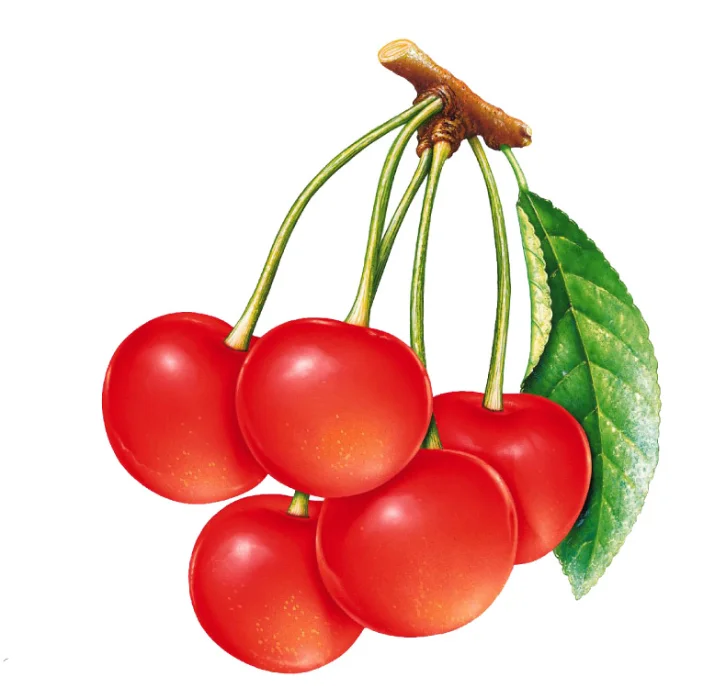 Cherry Edible Baking Essence For Ice Cream Or Beverages Or Chewing Gum