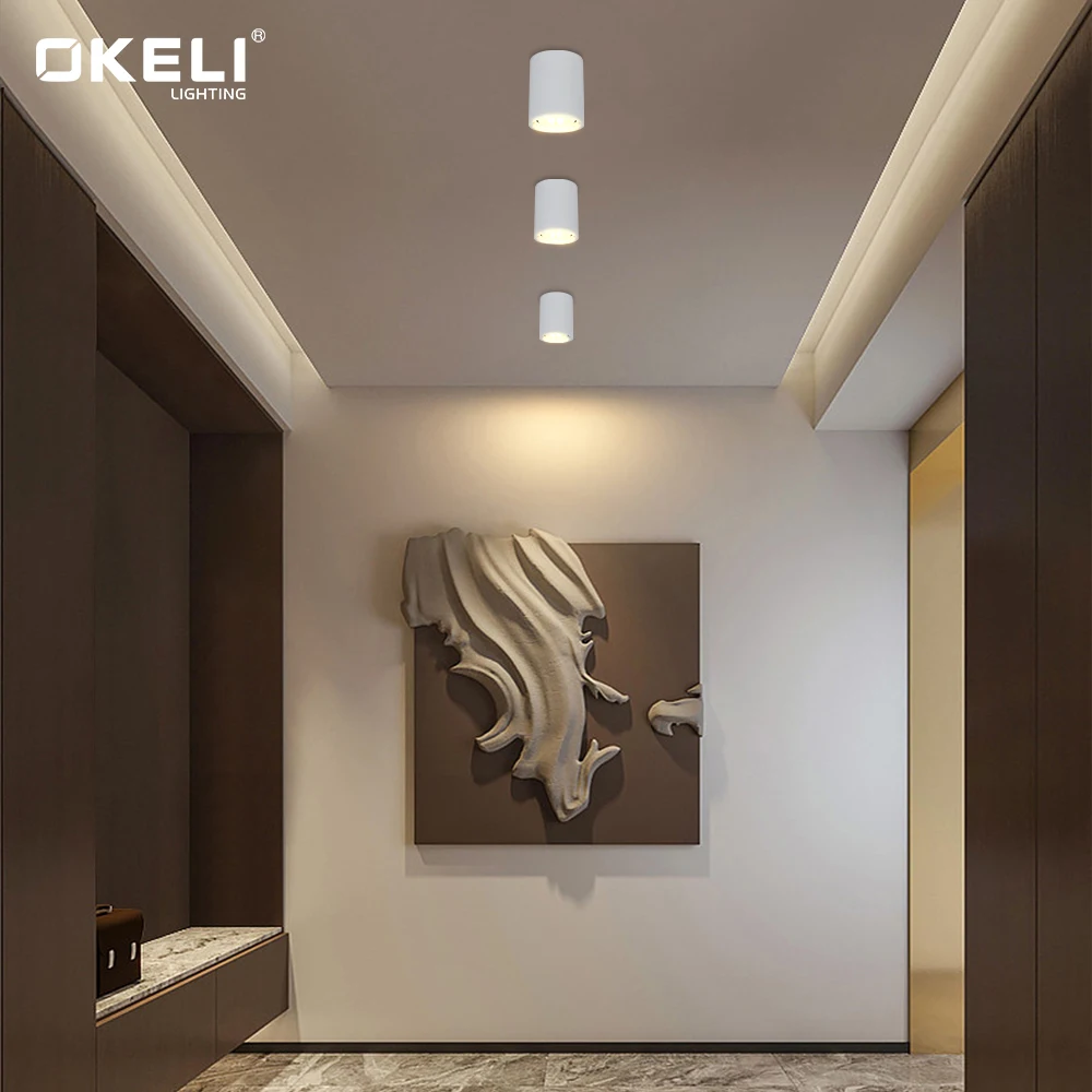 OKELI 220V White Round Living Room Surface Mounted COB Downlights