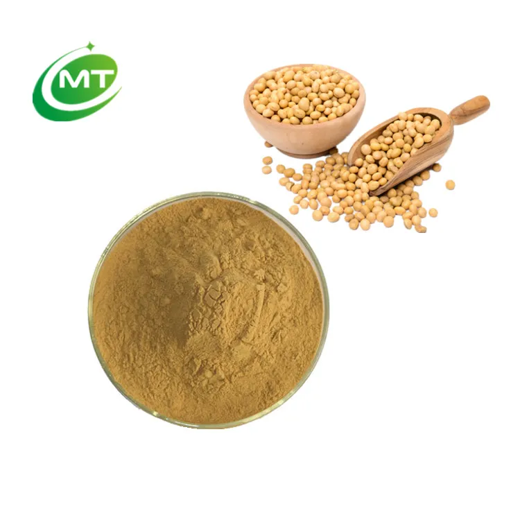 ISO Factory Supply High Quality Soybean Isolate Protein Powder Soy Bean Protein Powder Gycine Max Soybean Extract