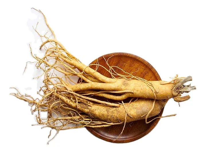 Natural Wild Plant Dried Ginseng Root Organic Red Ginseng For Health