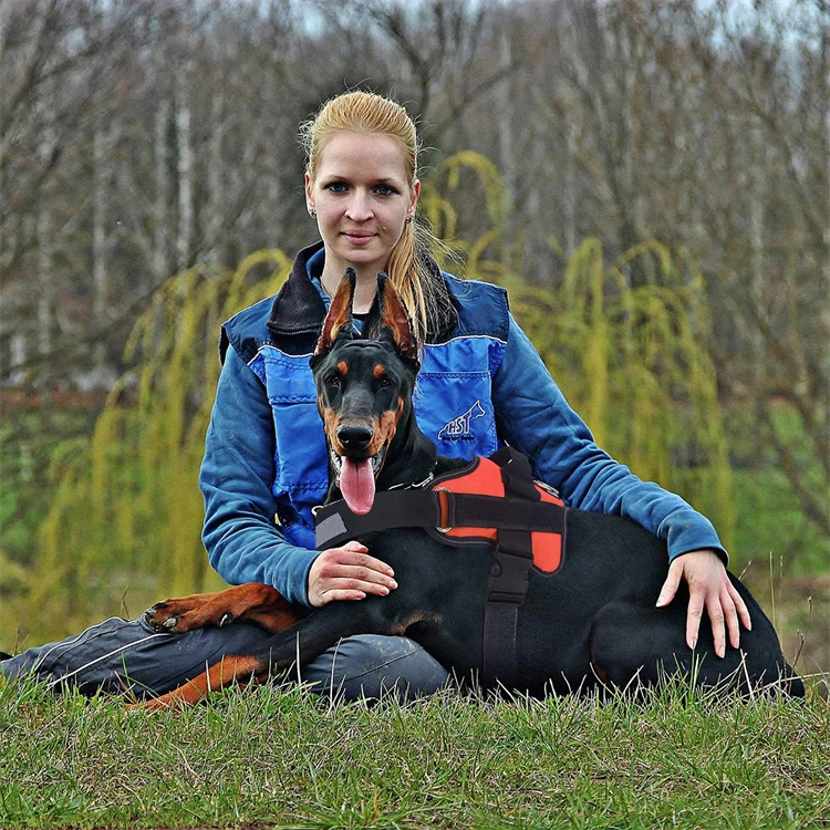 Custom Logo No Pull Reflective Dog Vest Outdoor Breathable Adjustable No Pull Dog Harness Manufacturers Custom Pet Dog Harness